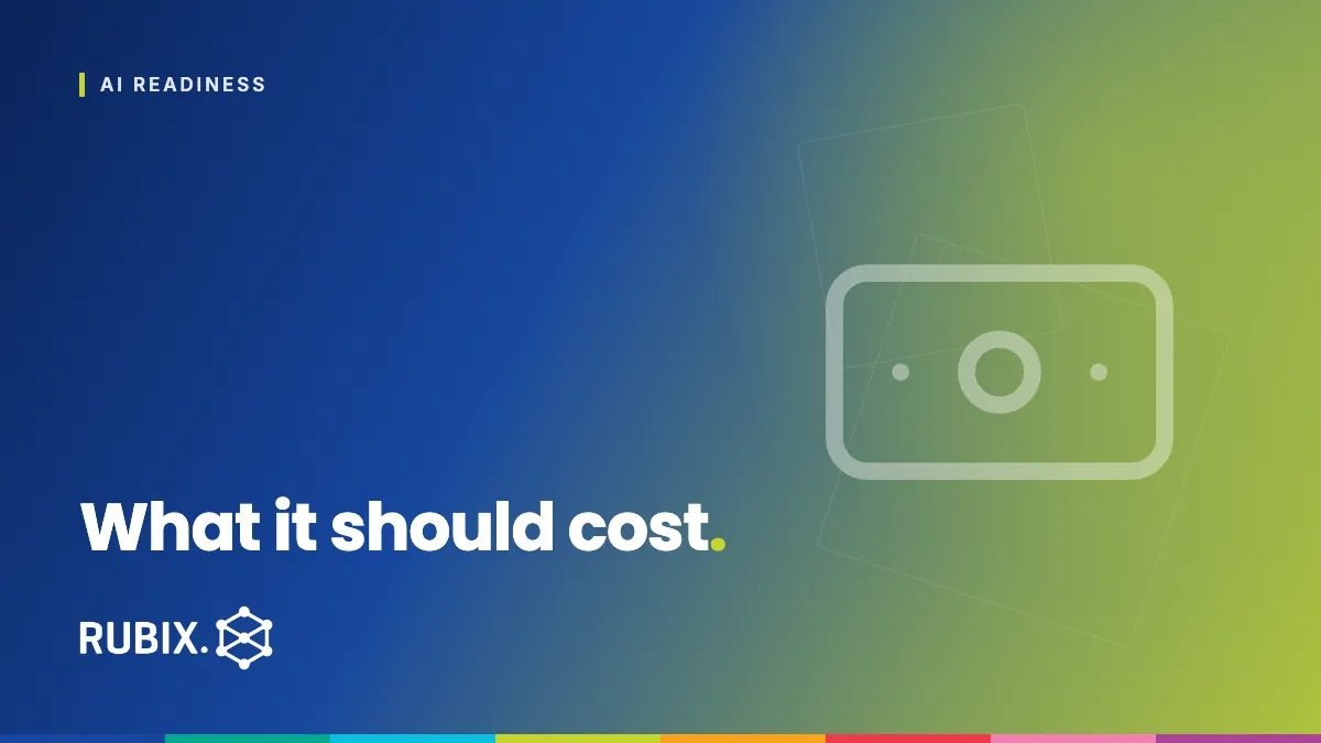 What it should cost - RUBIX Insights